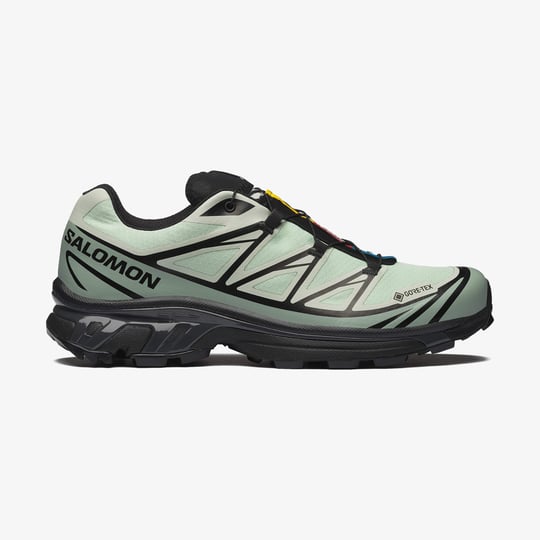 L49306800-XT-6 GORE-TEX