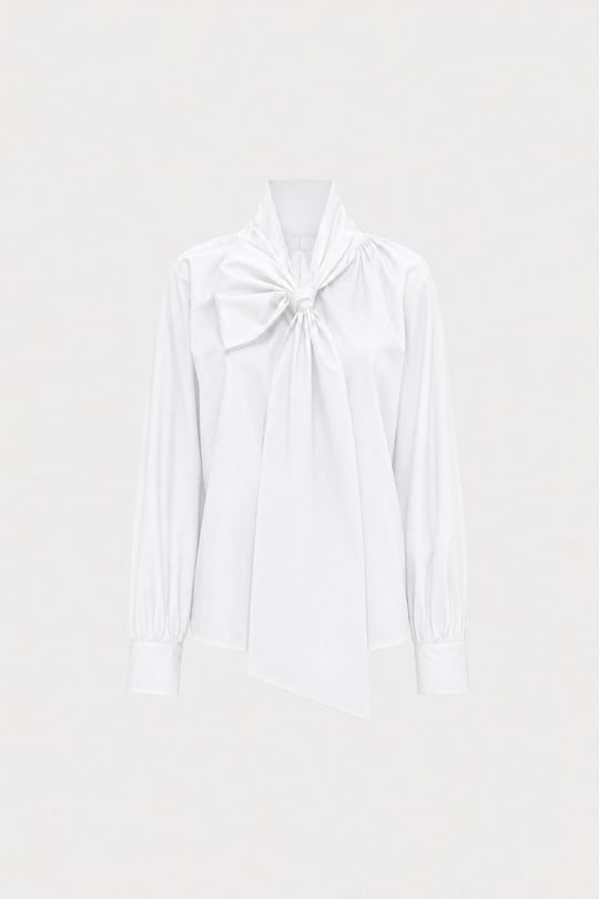 Alis Cowl Neck Shirt