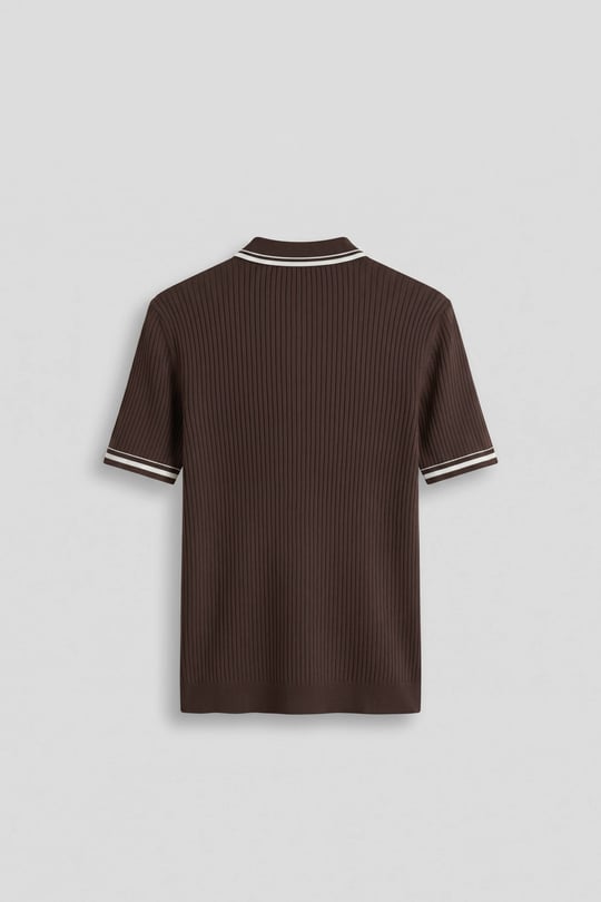 Erkek Regular Fit Pamuklu Kontrast Detaylı Polo Yaka T-Shirt Kahverengi