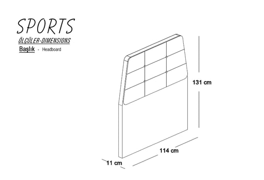 Sports 100lük Başlık