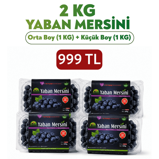 1kg Orta Boy Yaban Mersini ve 1kg Küçük Boy Yaban MersiniYaban Mersini ve Orman Meyveleri