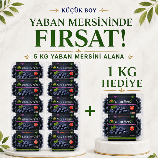 Küçük Boy Yaban Mersini 5 Kg Alana 1 Kg HediyeYaban Mersini ve Orman Meyveleri