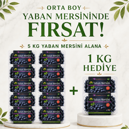 Orta Boy Yaban Mersini 5 KG Alana 1 KG HEDİYEYaban Mersini ve Orman Meyveleri
