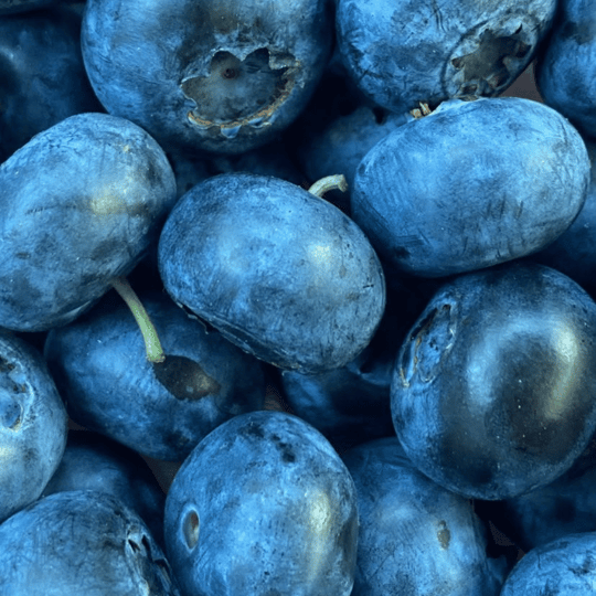 Premium Jumbo Crispy Yaban Mersini (Blueberry)Yaban Mersini ve Orman Meyveleri