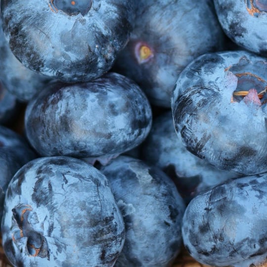 Taze Jumbo Yaban Mersini (Blueberry)Yaban Mersini ve Orman Meyveleri