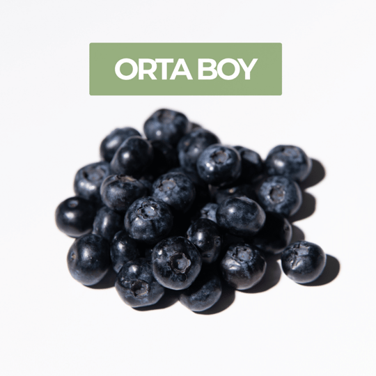 Taze Orta Boy Yaban Mersini (Blueberry)Yaban Mersini ve Orman Meyveleri