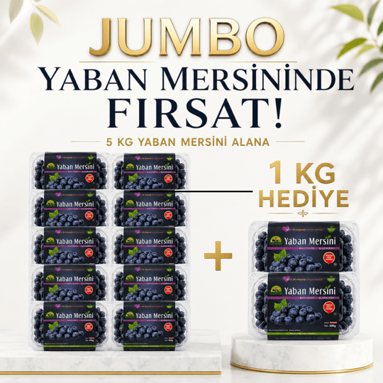 Yerli Jumbo Yaban Mersini 5 KG Alana 1 KG HEDİYEYaban Mersini ve Orman Meyveleri