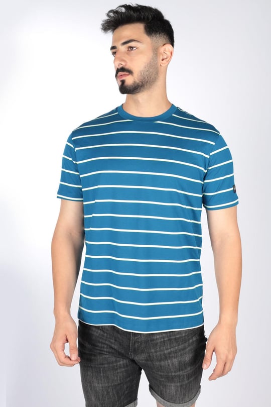 Paul Shark Paul Shark Erkek Marka Logo Detaylı Çizgili Regular Fit Kısa Kollu Mavi-Sarı T-Shirt 23411082-265