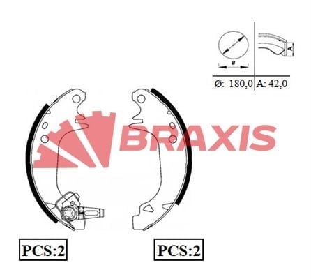 ARKA FREN BALATASI PABUC R9 R11 R5 P309 (DELIK 6.0mm)