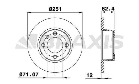 ARKA FREN DISK AYNASI CITROEN XANTIA 1.8I 2.0I 16V 1.9 TD (251.3X12X4DL)