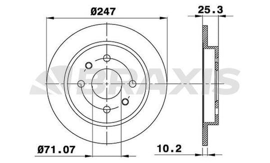 ARKA FREN DISK AYNASI P106 P206 P306 XSARA XSARA II ZX SAXO 1.8 2.0 2.0I 2.0GTI (HAVA SOGUTMASIZ)