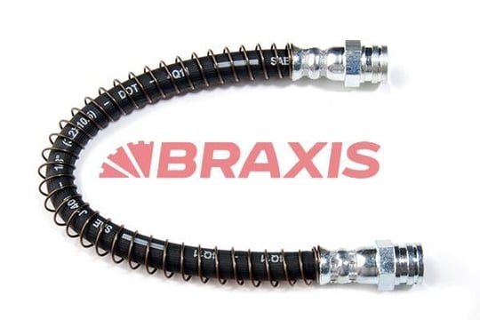 ARKA FREN HORTUMU P205 83 98