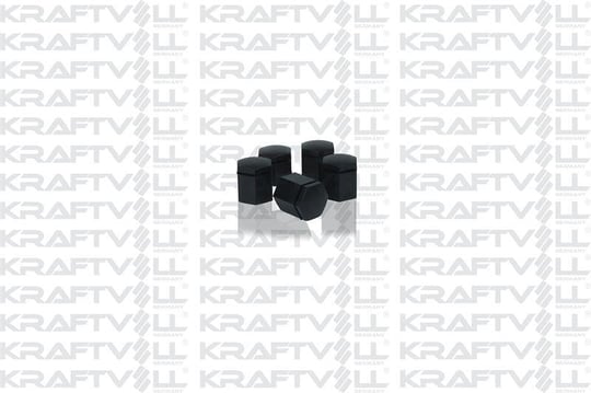 BIJON KAPAK SIYAH KUCUK TIP 19 X 24MM ASTRA J ASTRA K INSIGNIA B ZAFIRA