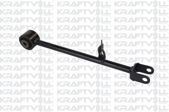 DENGE KOLU ARKA SAG DUSTER 2011-