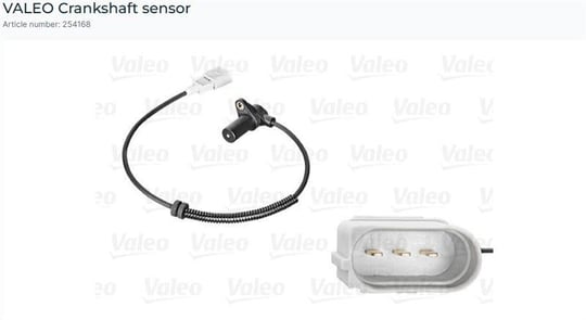 EKSANTİRİK SENSÖRÜ AUDI A6 4.2