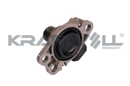 MOTOR TAKOZU IPLI KANGOO CLIO THALIA SYMBOL 1.5DCI 1.9