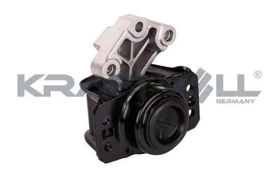 MOTOR TAKOZU YAGLI SAG P307 P308 P5008 P3008 PARTNER TEPE 06