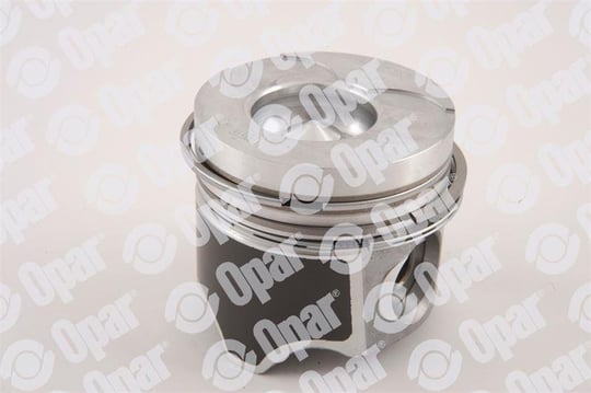 RENAULT PİSTON SEGMAN STD F9Q MEGANE 4165 000