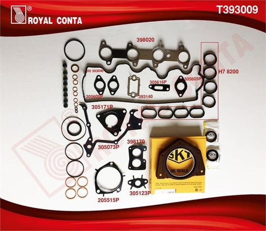 TAKIM CONTA SKT KEÇELİ REINZ S.LASTİKLİ SİLİNDİR KAPAK CONTASIZ FIAT DOBLO  PUNTO 1.9 DİZEL 223A6.000 MOTOR