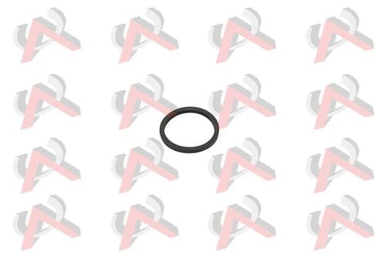 TERMOSTAT ORING R19 CLIO