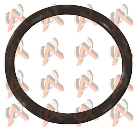 TERMOSTAT ORINGI R19