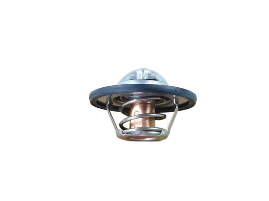 TERMOSTAT POLO- A4-A5-A6-Q5 CAGA-CAHA-CAGB-CAGC-BBY-BKY-BBZ 1.4 16V-2.0 TDI 08> (82c)