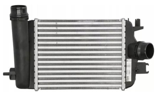 TURBO RADYATÖRÜ INTERCOOLER RENAULT CLIO V 1.0TCE 20 NISSAN MICRA V BRAZING 255x217x50