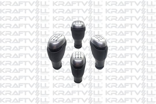 VITES TOPUZU BVM5 SANDERO II 16> SYMBOL II 16> DUSTER I 13> CAPTUR I 16>  CLIO IV 16> PARLAK MAT