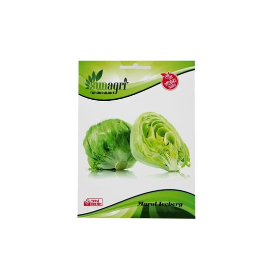 Iceberg Marul Tohumu