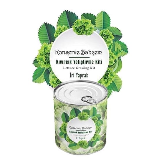 Kıvırcık Dikim Kiti