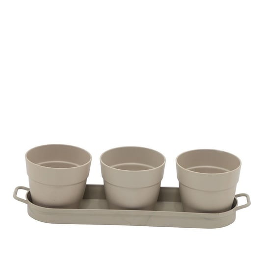 Poliwork 3lü Set Kaktüs Saksı Mix 0,11 Lt 235*60*60 Mm