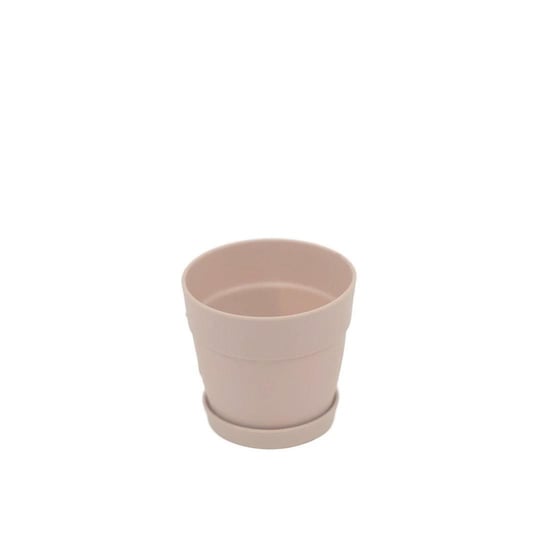 Poliwork Tabaklı Kaktüs Saksı Mix 0,11 Lt 65*60 Mm