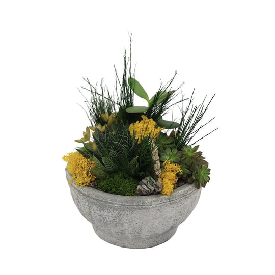 Terrarium (Teraryum) Aranjman