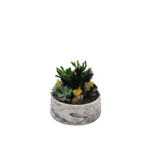 Terrarium (Teraryum) Aranjman 13
