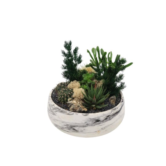 Terrarium (Teraryum) Aranjman 13