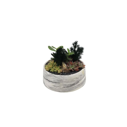 Terrarium (Teraryum) Aranjman 13