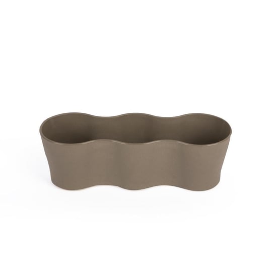 Üçlü Kaktüs Saksı 5,5 Cm