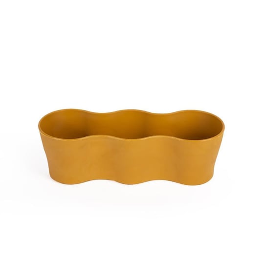 Üçlü Kaktüs Saksı 5,5 Cm