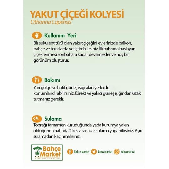 Yakut Çiçeği Kolyesi