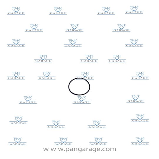 0501 322 907 O-Ring