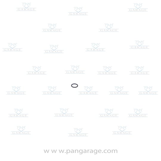 0634 303 100 O-Ring
