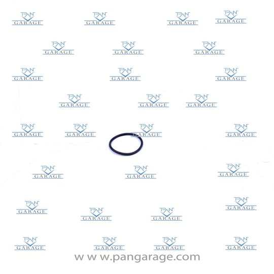 0769 151 008 O-Ring
