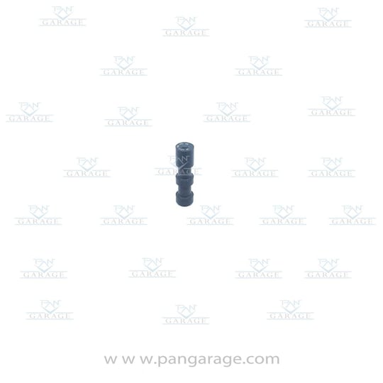 4644 306 262 Piston