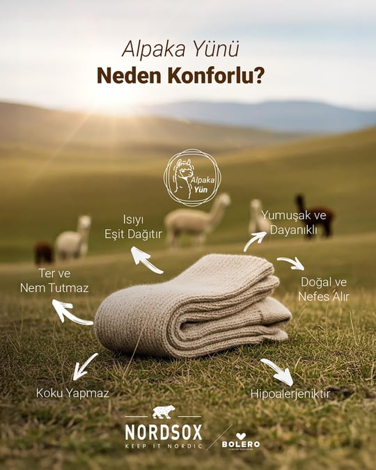 Kadın Alpaka Yün Çorap Ekru