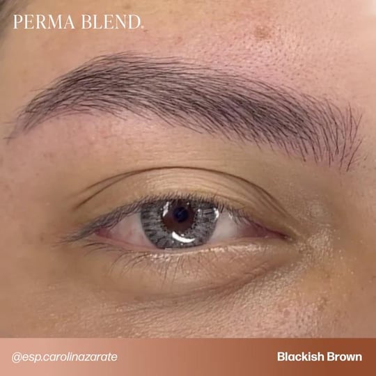 Perma Blend - Light to Dark Eyebrow Mini Set - 4lü Kalıcı Makyaj Boya Seti - 15 ml