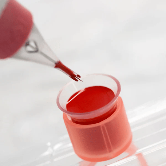 Perma Blend Tina Davies Orange Coral Kalıcı Makyaj Dudak Pigmenti 15ml