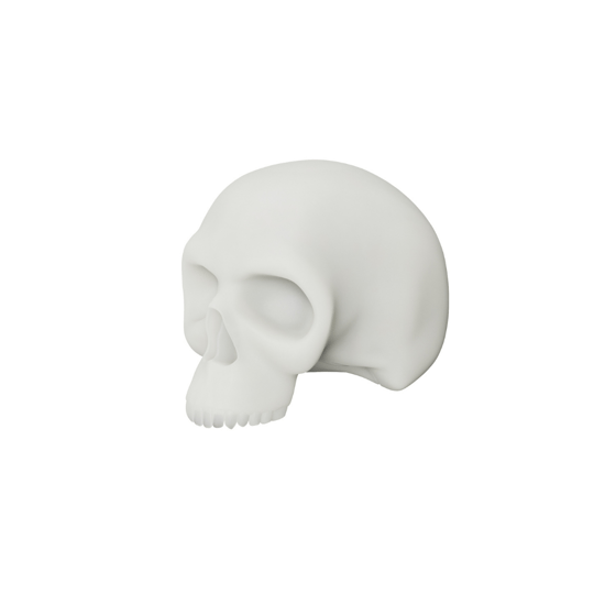3D Dövme Deneme Modeli Silikon Kurukafa Beyaz 54 x 32 x 43 cm