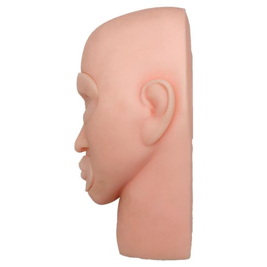 Kalıcı Makyaj 3D Pratik Çalışma Seti (Kafa Şeklinde)