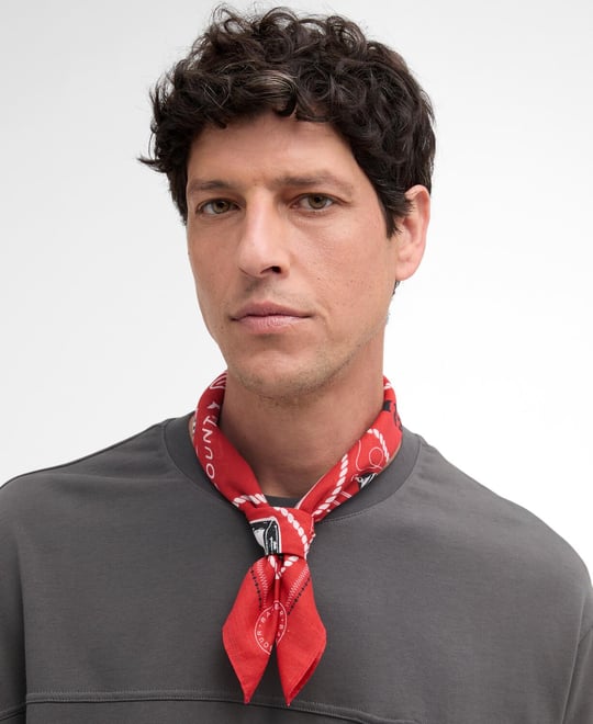 Barbour Heritage Bandana