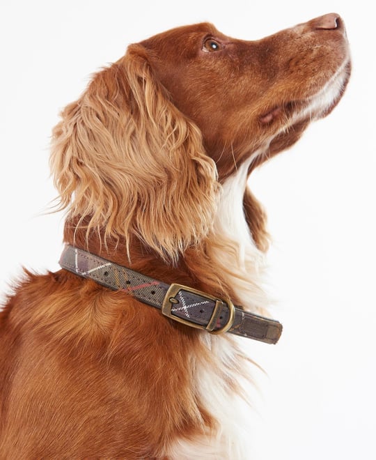 Barbour Tartan Köpek Boyun Tasması